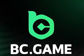 Download the BC App Your Gateway to Convenience